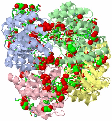 Image Asym./Biol. Unit - sites