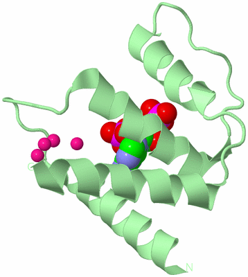 Image Biological Unit 2