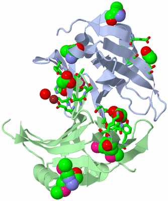 Image Asym./Biol. Unit - sites