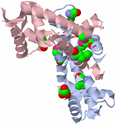 Image Biological Unit 1