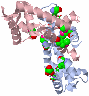 Image Biol. Unit 1 - sites