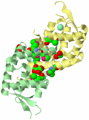 Image Biological Unit 2