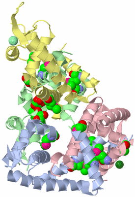 Image Biological Unit 3