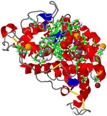 Image Asym./Biol. Unit - sites