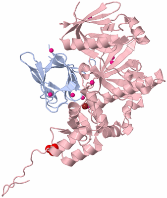 Image Biological Unit 1