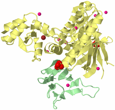 Image Biological Unit 2