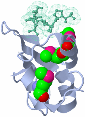 Image Biological Unit 1