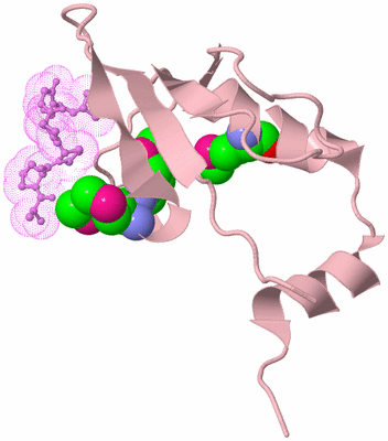 Image Biological Unit 3