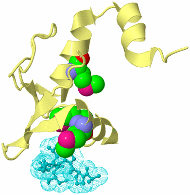 Image Biological Unit 4