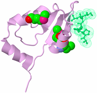 Image Biological Unit 5