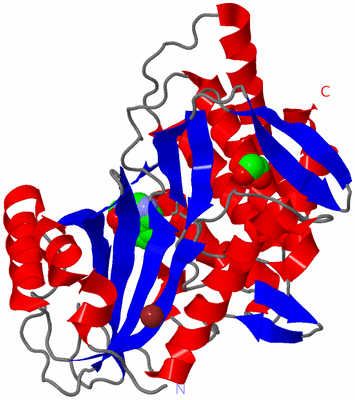 Image Asym./Biol. Unit