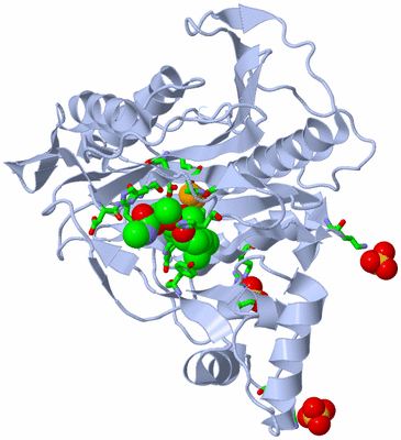 Image Biol. Unit 1 - sites