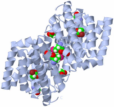 Image Biological Unit 1