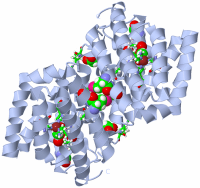 Image Biol. Unit 1 - sites