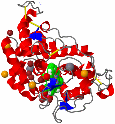 Image Asym./Biol. Unit