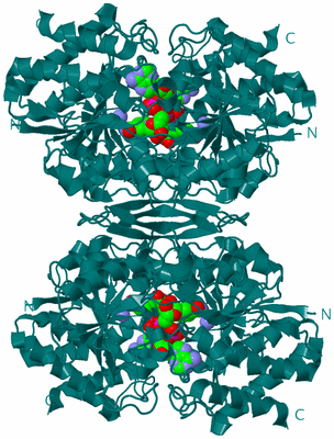 Image Biological Unit 1