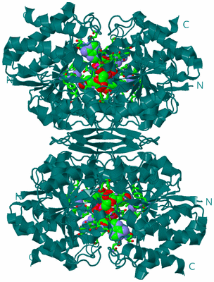 Image Biol. Unit 1 - sites