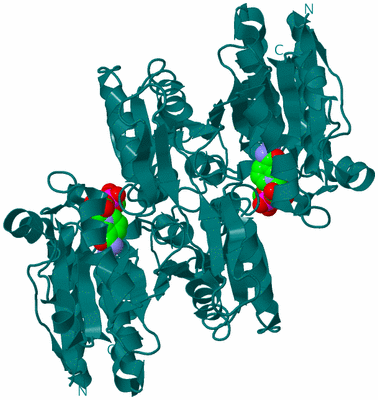 Image Biological Unit 2