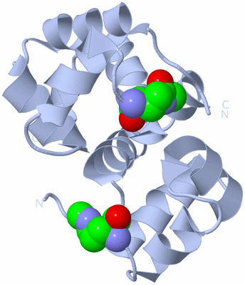 Image Biological Unit 1