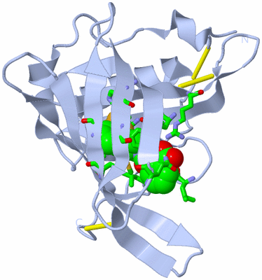 Image Biol. Unit 1 - sites