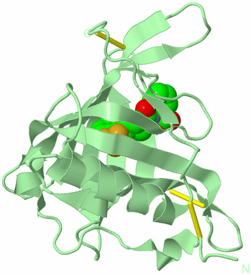 Image Biological Unit 2