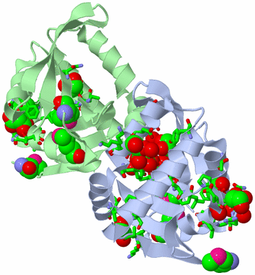 Image Biol. Unit 1 - sites