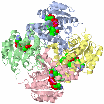 Image Asym./Biol. Unit