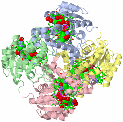 Image Asym./Biol. Unit - sites