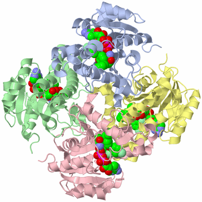 Image Asym./Biol. Unit