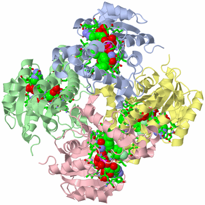 Image Asym./Biol. Unit - sites