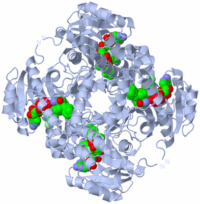 Image Biological Unit 1