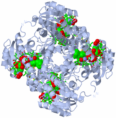 Image Biol. Unit 1 - sites