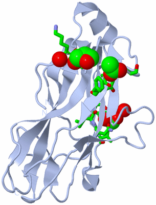 Image Biol. Unit 1 - sites