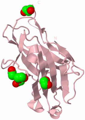 Image Biological Unit 3