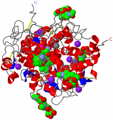 Image Asym./Biol. Unit