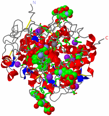 Image Asym./Biol. Unit - sites