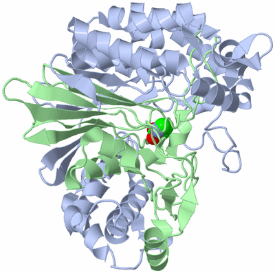 Image Biological Unit 1