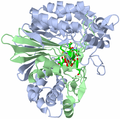 Image Biol. Unit 1 - sites