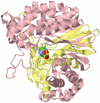 Image Biological Unit 2