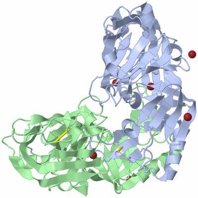 Image Asym./Biol. Unit
