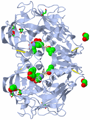 Image Biol. Unit 1 - sites