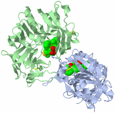 Image Biological Unit 1