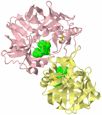 Image Biological Unit 2