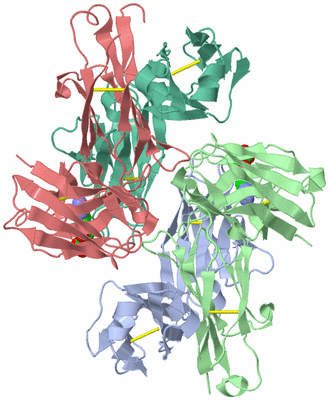 Image Biological Unit 1