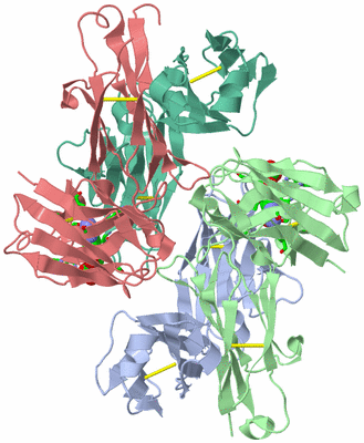 Image Biol. Unit 1 - sites