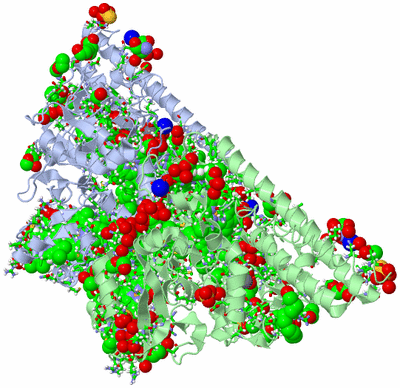 Image Asym. Unit - sites