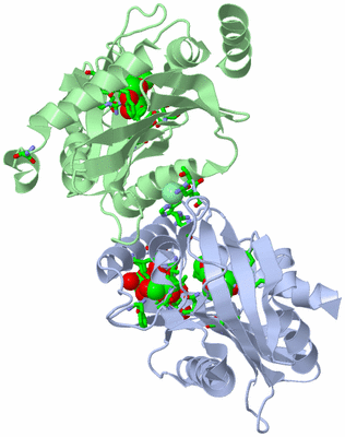 Image Asym./Biol. Unit - sites