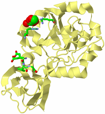 Image Biol. Unit 1 - sites