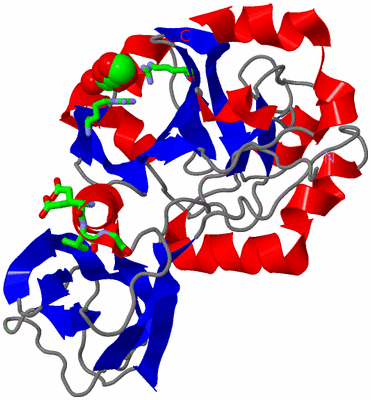 Image Asym. Unit - sites