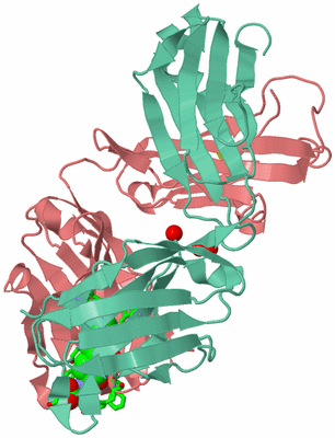 Image Biol. Unit 1 - sites